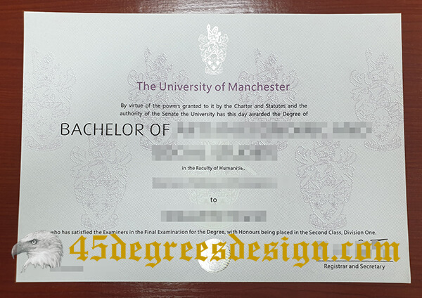 University of Manchester degree