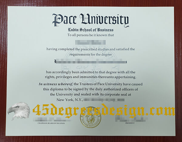 Pace University degree 