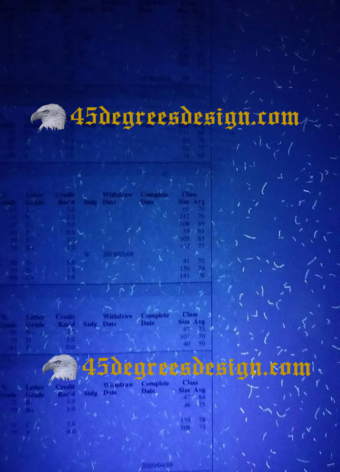 fluorescent light paper of diploma