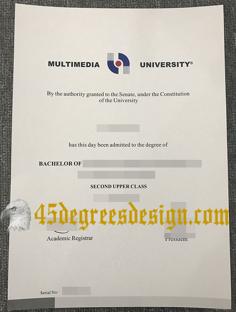 Multimedia University degree