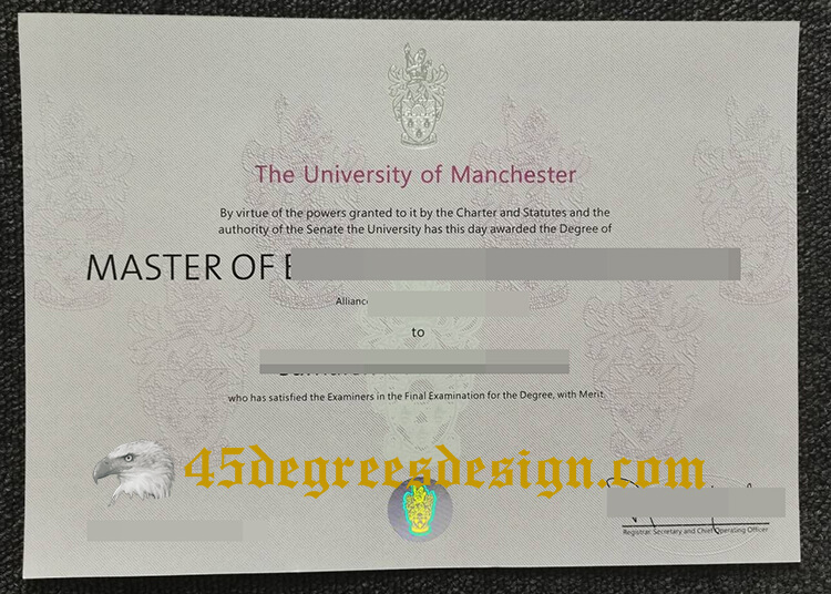 University of Manchester degree