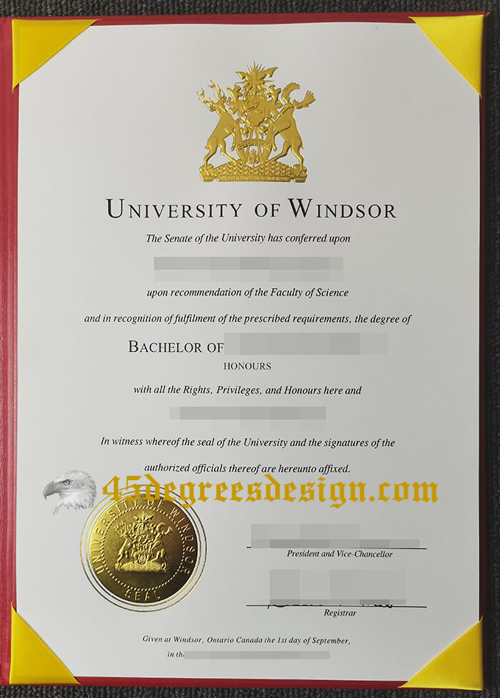 University of Windsor bachelor diploma