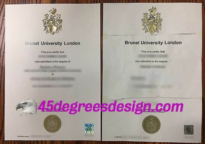 Brunel University London degree