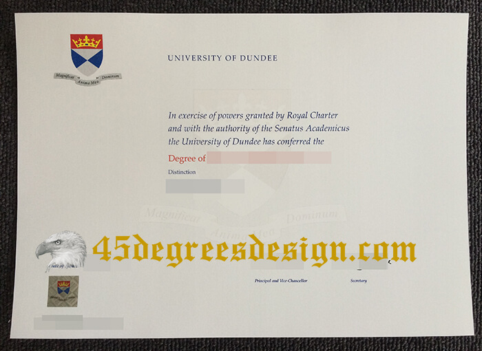 University of Dundee degree