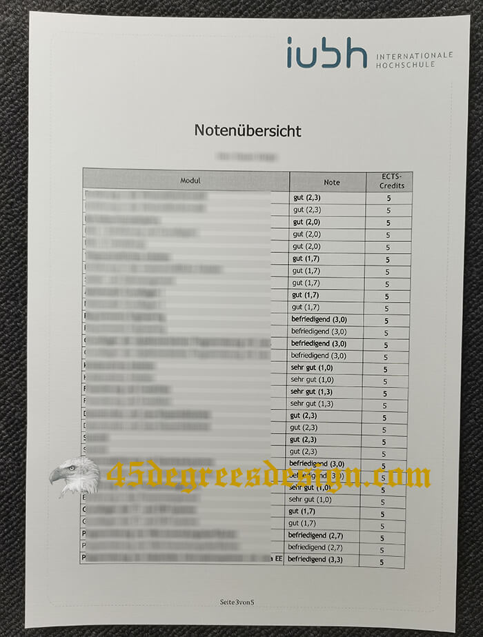 IUBH transcript 3