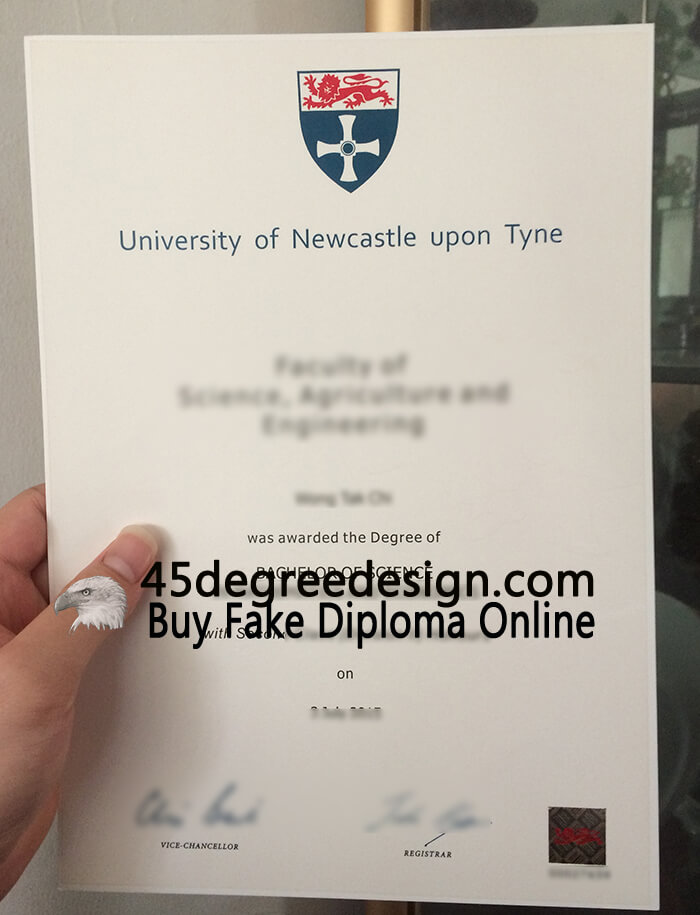 Newcastle University degree