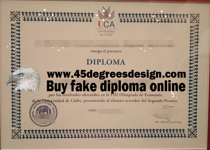 University of Cádiz diploma 