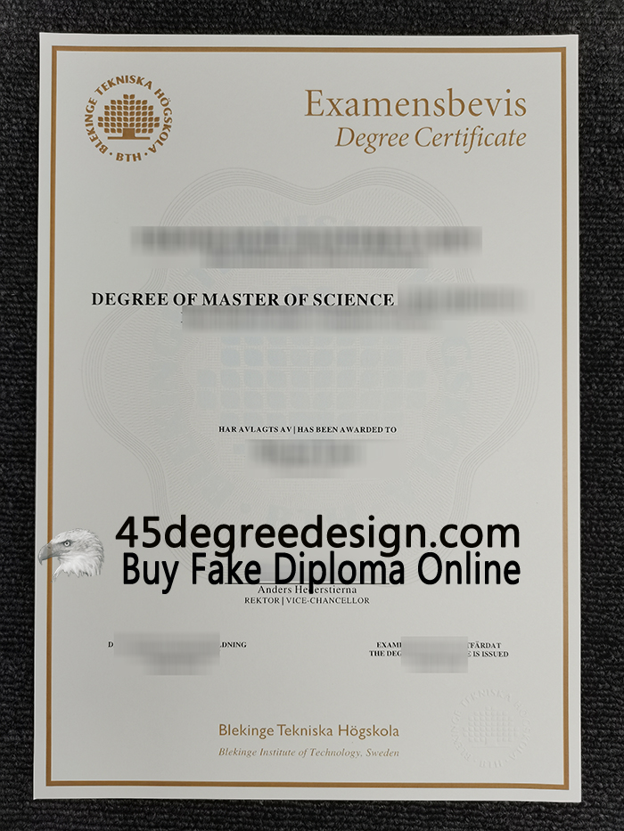 Blekinge Institute of Technology degree Blekinge Institute of Technology degree