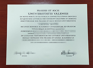 Yale University degree