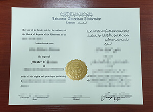 Lebanese American University degree