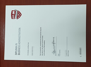 Order PSB Academy diploma