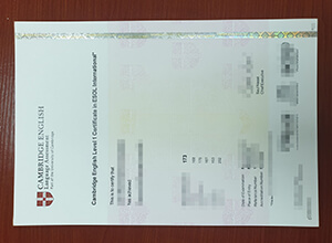 Order a fake Cambridge English Certificate , Buying fake certificate,