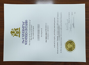 University of Western Ontario degree