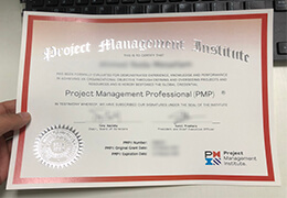 Project Management Professional certificate，PMP certificate