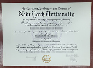 New York University diploma