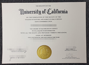 University of California Riverside diploma