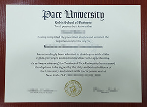Pace University degree