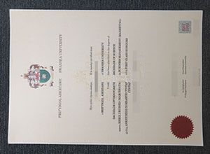 Swansea University diploma