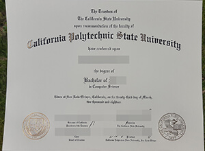 Cal Poly fake diploma