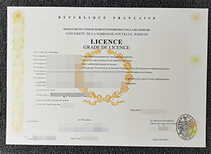 How can I get fake New Sorbonne University (Paris III) diploma?