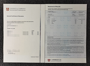 Fake University of Cambridge International Examinations GCE certificate