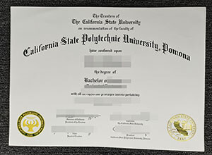 How to buy fake cal poly pomona degree online？