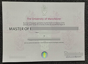 University of Manchester degree