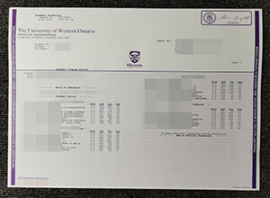 University of Western Ontario transcript