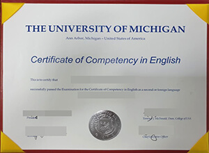 University of Michigan degree