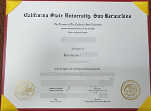CSUSB degree