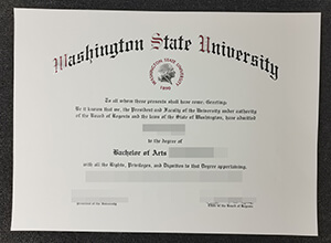 Washington State University diploma