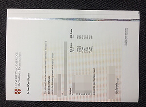 Cambridge Higher School Certificate