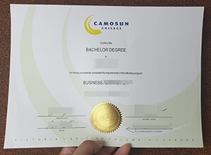 Camosun College degree