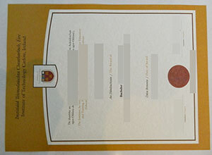Institute of Technology, Carlow diploma