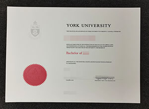 Fake York University Diploma from Canada for sale here