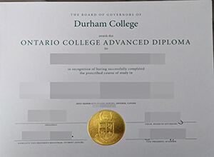 fake Durham College diploma