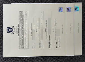 University of Liverpool diploma