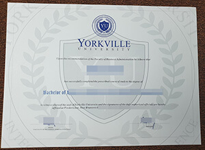 How to get a fake Yorkville University bachelor degree online?