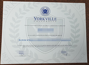 Yorkville University diploma