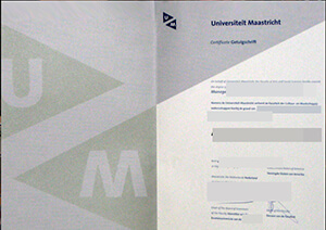 Maastricht University diploma