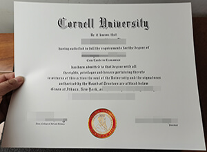 Cornell University bachelor diploma