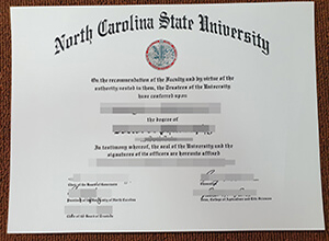 NCSU degree