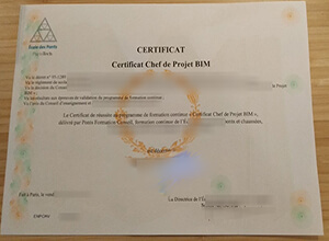 How to Order A Fake École Des Ponts Certificat In France?