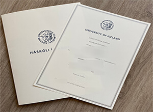 Buying fake diplomas online, How to buy fake University of Iceland diploma?