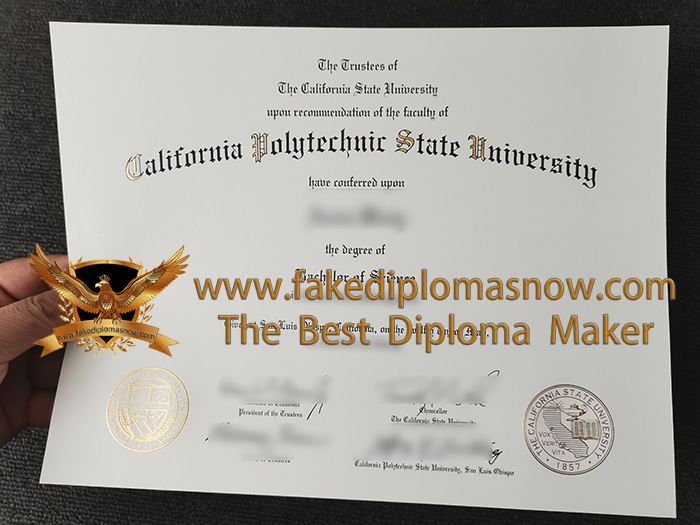 Cal Poly diploma