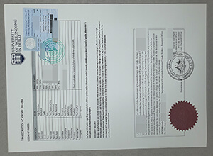 UAE Certificate Attestation