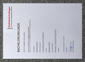 Hochschule Esslingen diploma