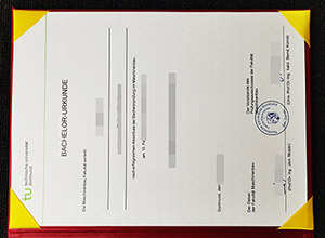 Technische Universität Dortmund diploma