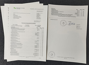 Technische Universität Dortmund transcript