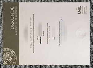 University of Augsburg diploma